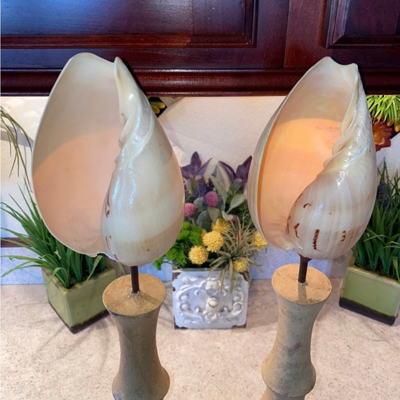 Yankee Candle Shell Decor x 2 - Picture 3 of 4